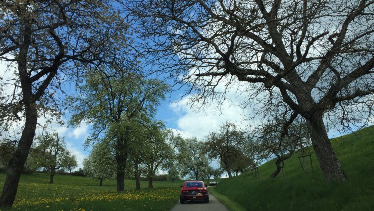 De vierde dag van de Tulpenrallye 2016 leidt door het geboorteland Frankrijk.