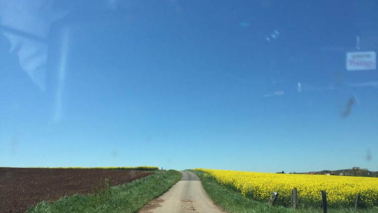 De vierde dag van de Tulpenrallye 2016 leidt door het geboorteland Frankrijk.