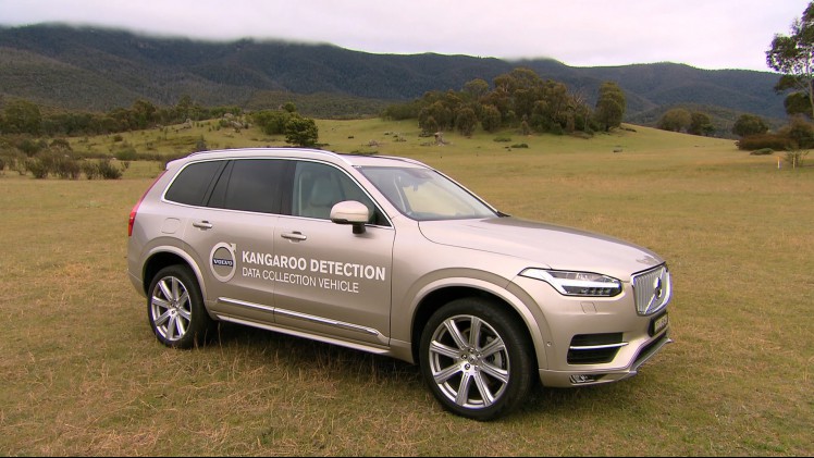 Volvo ontwikkeld kangoeroedetectie voor de markt in Australi?, zodat een aanrijding met een kangoeroe daadwerkelijk voorkomen kan worden.