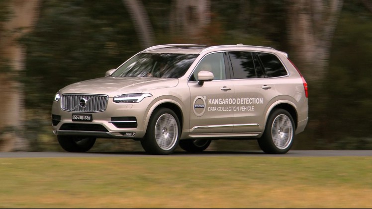 Volvo ontwikkeld kangoeroedetectie voor de markt in Australi?, zodat een aanrijding met een kangoeroe daadwerkelijk voorkomen kan worden.