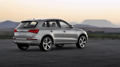Tsja, als de importeur je vertelt dat we in de zomer met de vernieuwde Audi Q5 kunnen gaan rijden, is het natuurlijk wachten op de presentatie van het faceliftmodel. De Duitsers kiezen de autotentoons