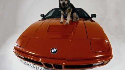 BMW Motorsport viert vandaag feest. In 1978 werd namelijk de BMW M1 geintroduceerd op de Autoshow in Parijs. Vriend en vijand kon zich vergapen aan de toen snelste voor straatgebruik geschikte racewag