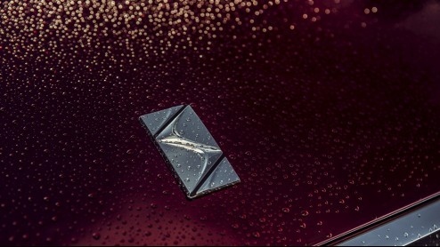 Citroen presenteert DS Wild Rubis Concept in Shanghai.