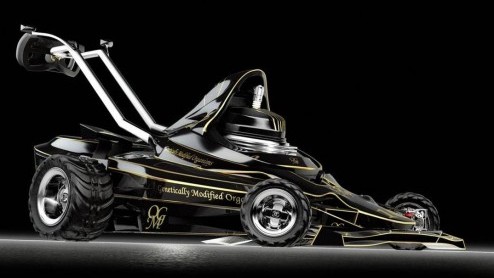 Speciaal voor de liefhebbers van tuinieren n gemotoriseerde voertuigen heeft Kadeg Boucher een Formule 1 grasmaaier ontwikkeld. Het vlotte maar praktische apparaat is wel een virtuele concept.