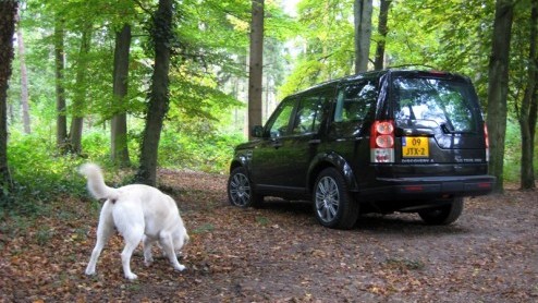 Golden retrievers, een bosrijke omgeving, paardentrailers en vrijbuiters, het zijn de voor de hand liggende elementen die onlosmakelijk worden verbonden met de Land Rover Discovery. De Britten hebben